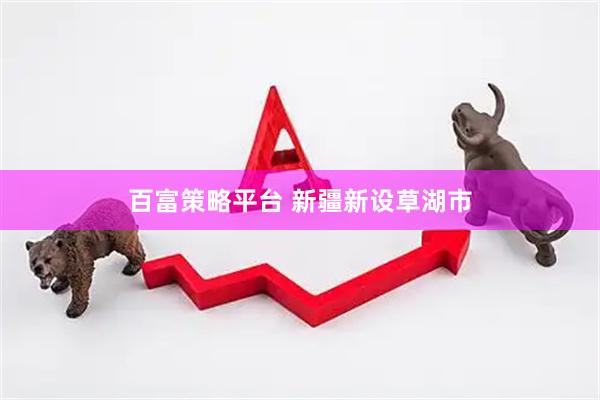 百富策略平台 新疆新设草湖市